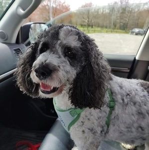 Meet your Posher, Jill